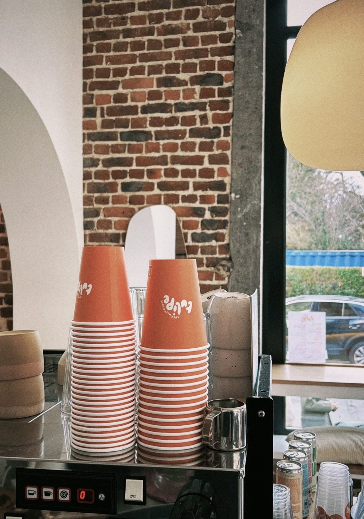 Tulipe — galerie photo 1.